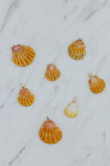 Wings Hawaii Sunrise Shell Necklace Charms in 14k gold-filled. Authentic Hawaiian Sunrise seashells. Fine jewelry handmade in Maui. Real shell jewelry made in Hawaii by local artisans.  thumbnail