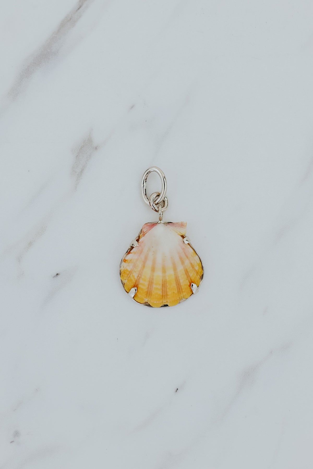 Necklace Charm - Sunrise Shell | 14k WG