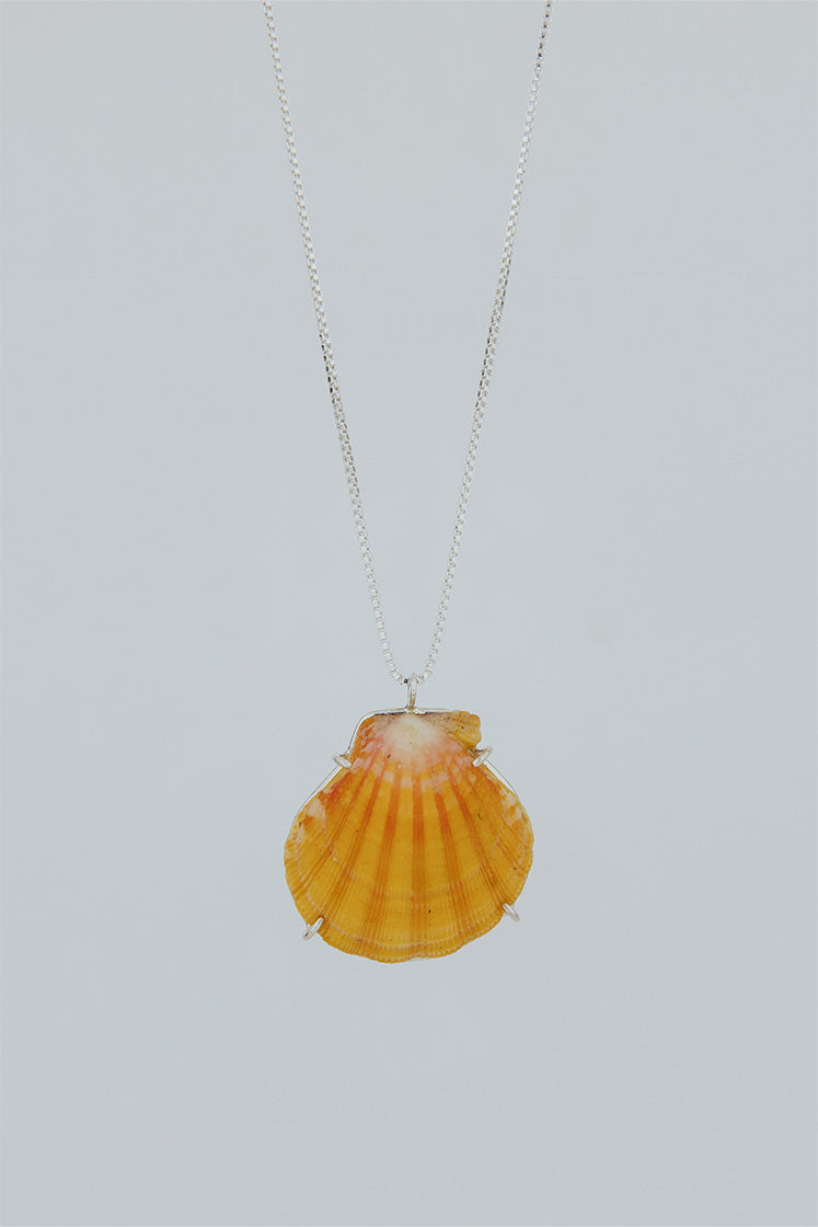 Sunrise Shell Necklace - Large