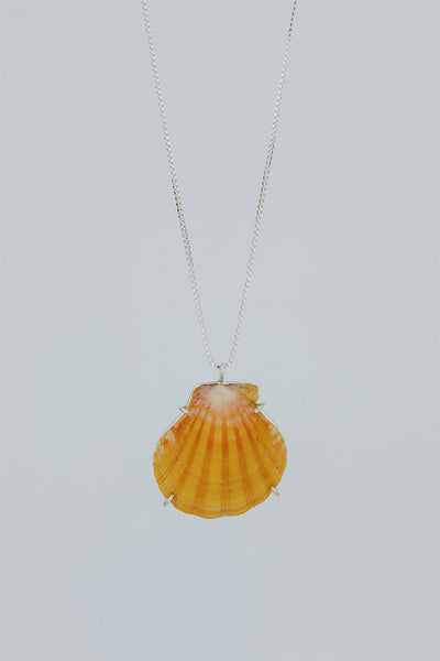 Sunrise Shell Necklace - Large
