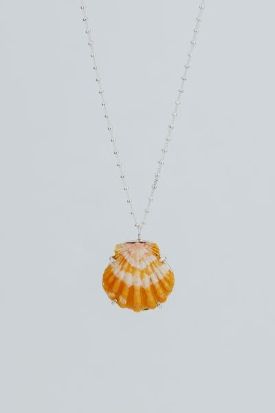 Sunrise Shell Necklace - 16" Chain