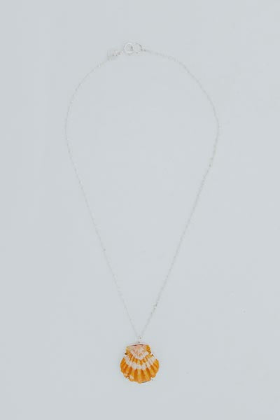 Sunrise Shell Necklace - 16" Chain