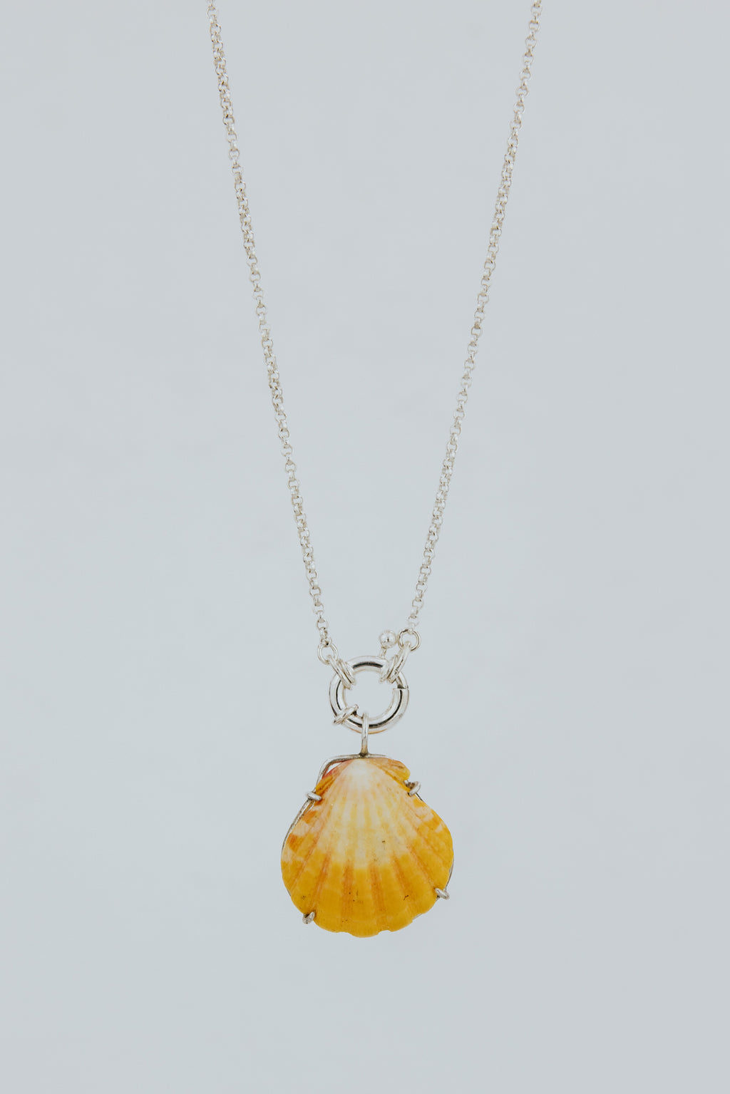 Wings Hawaii Symphony Necklace - Sunrise Shell in sterling silver. Fine jewelry expertly handcrafted in Maui with aloha. Authentic Hawaiian shell handmade jewelry. 