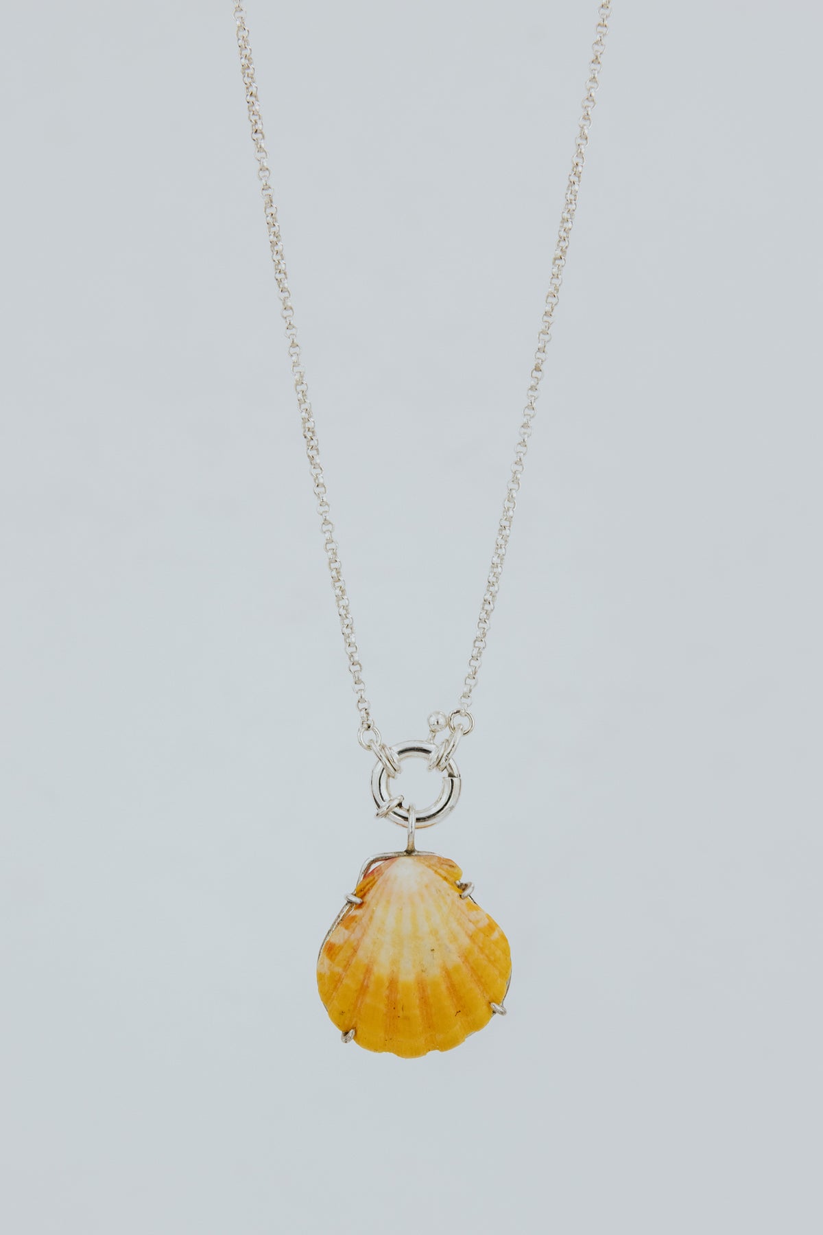 Wings Hawaii Symphony Necklace - Sunrise Shell in sterling silver. Fine jewelry expertly handcrafted in Maui with aloha. Authentic Hawaiian shell handmade jewelry. 
