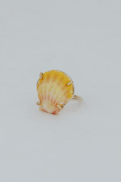 Prong Set Sunrise Shell Ring - GF