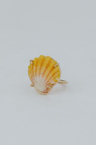 Prong Set Sunrise Shell Ring - GF