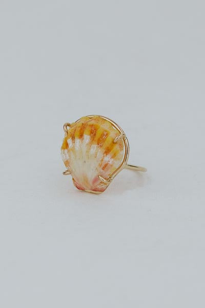 Prong Set Sunrise Shell Ring - GF