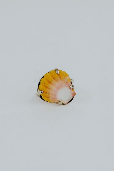 Sunrise Shell Ring - 14k White Gold