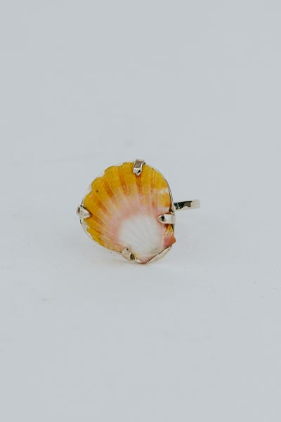 Sunrise Shell Ring - 14k White Gold