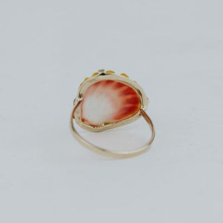 Sunrise Shell Ring - 14k White Gold