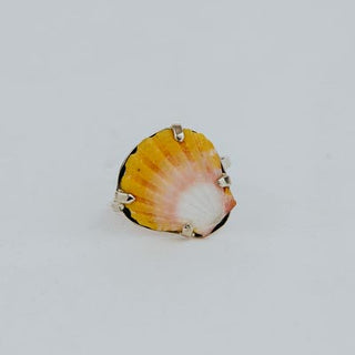 Sunrise Shell Ring - 14k White Gold