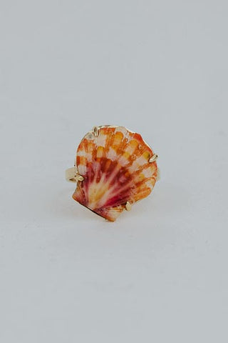 Sunrise Shell Ring - 14k Yellow Gold