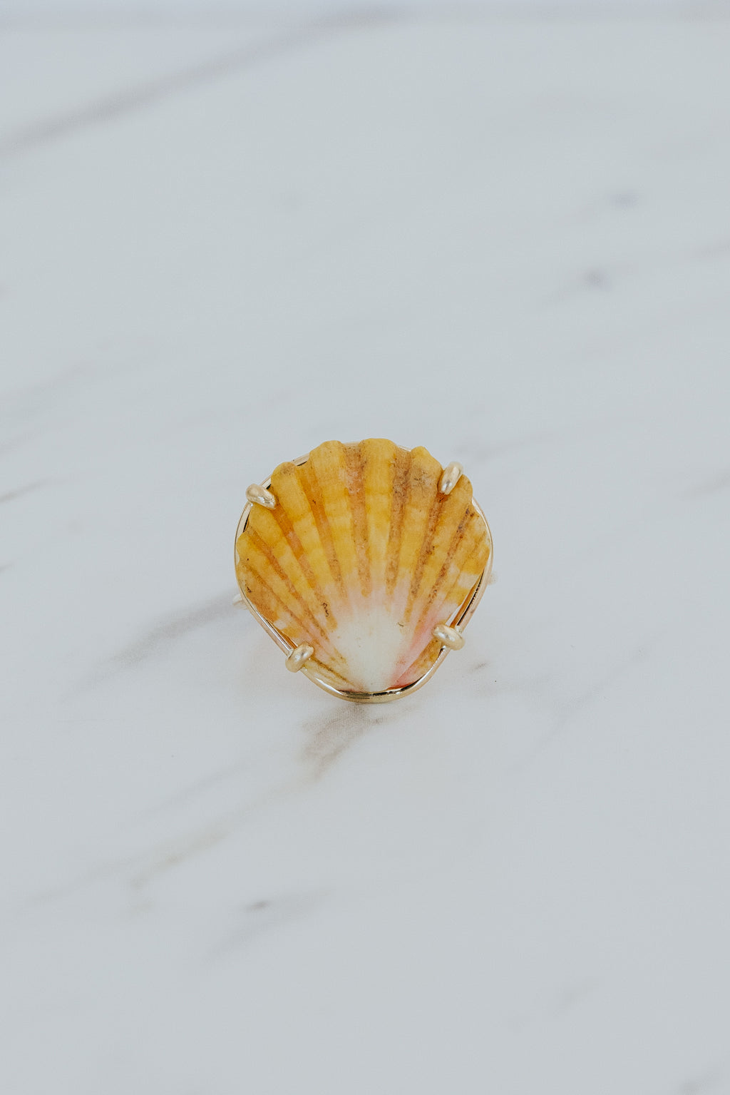 Prong Set Sunrise Shell Ring - GF