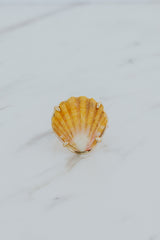 Prong Set Sunrise Shell Ring - GF thumbnail