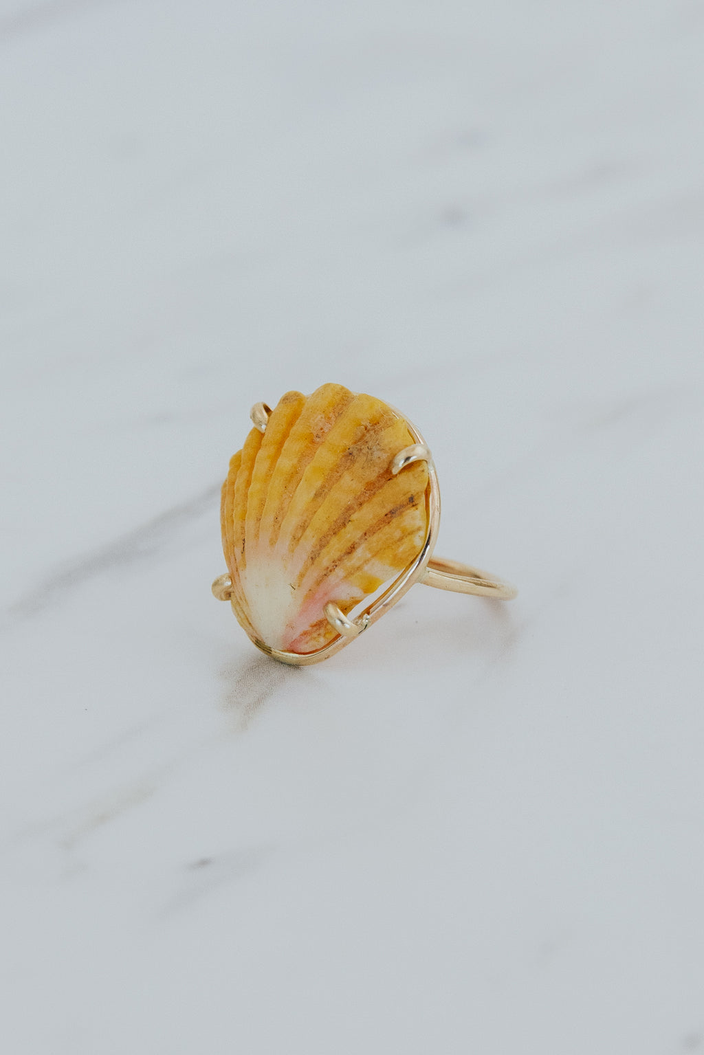Prong Set Sunrise Shell Ring - GF