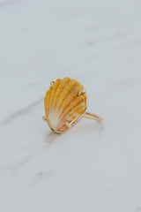 Prong Set Sunrise Shell Ring - GF thumbnail