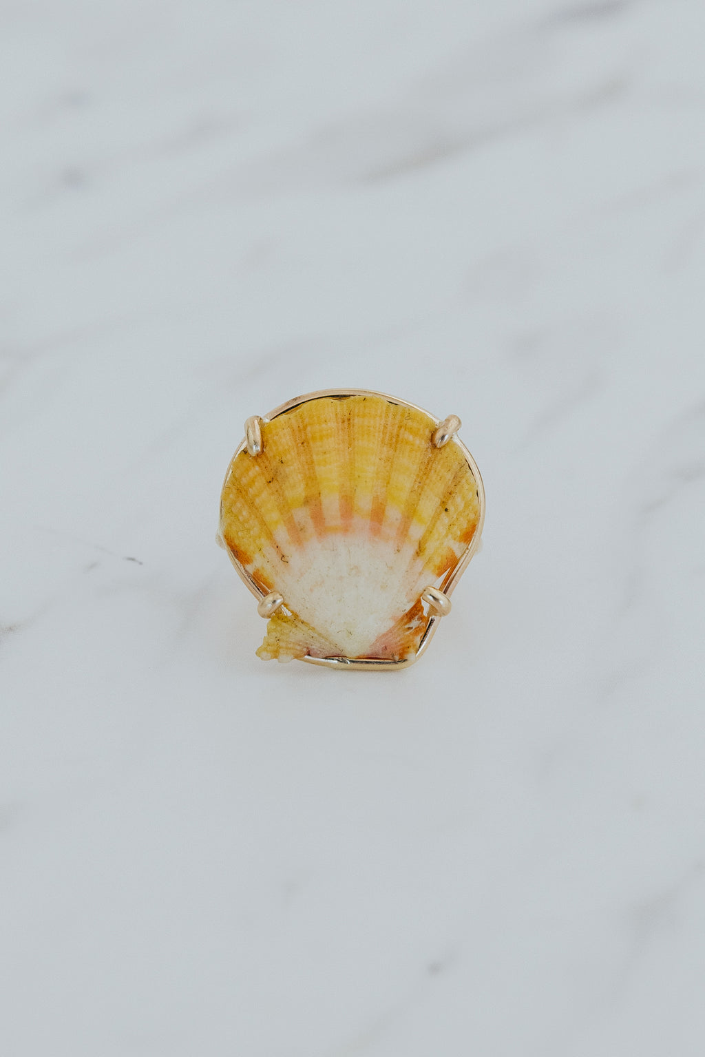 Prong Set Sunrise Shell Ring - GF