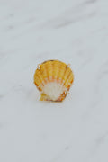 Prong Set Sunrise Shell Ring - GF