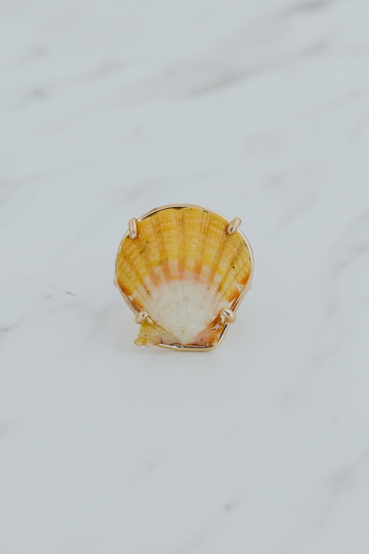 Prong Set Sunrise Shell Ring - GF
