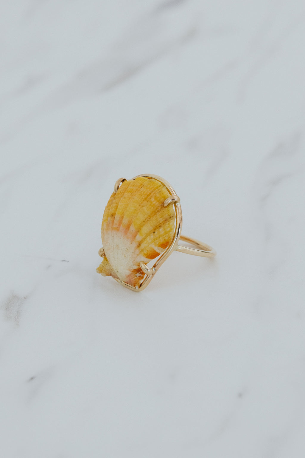 Prong Set Sunrise Shell Ring - GF