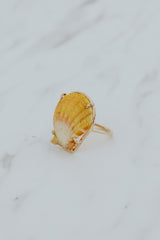 Prong Set Sunrise Shell Ring - GF thumbnail