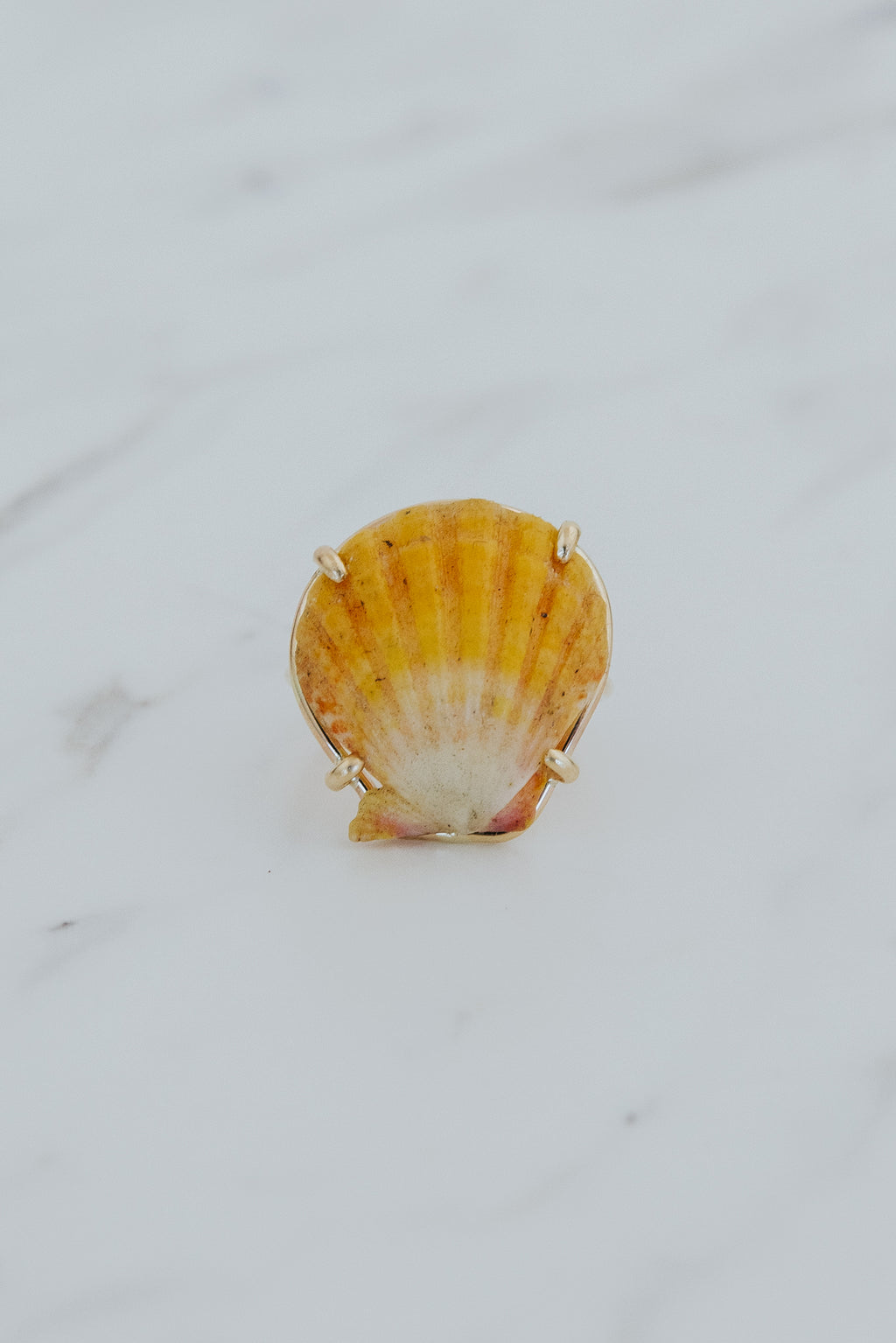 Prong Set Sunrise Shell Ring - GF