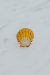 Prong Set Sunrise Shell Ring - GF thumbnail