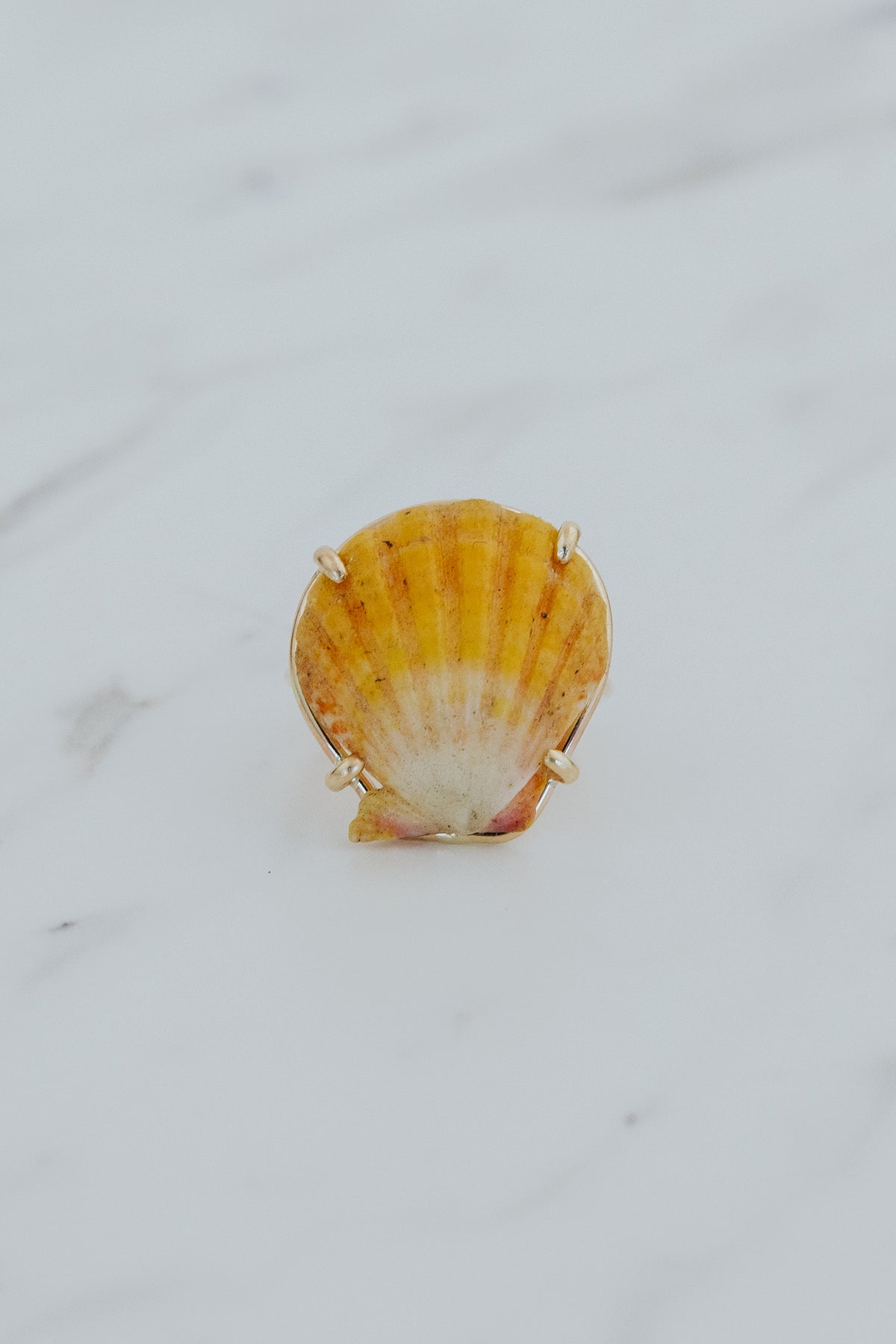 Prong Set Sunrise Shell Ring - GF