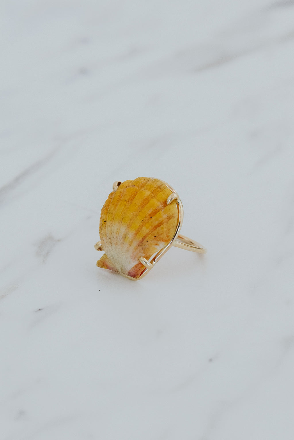 Prong Set Sunrise Shell Ring - GF