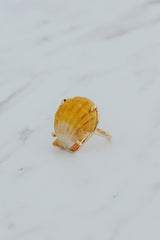 Prong Set Sunrise Shell Ring - GF thumbnail