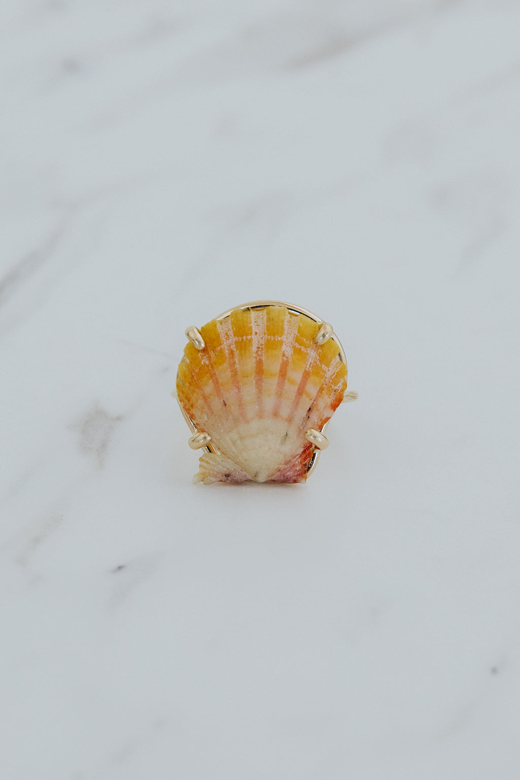 Prong Set Sunrise Shell Ring - GF
