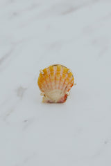 Prong Set Sunrise Shell Ring - GF thumbnail