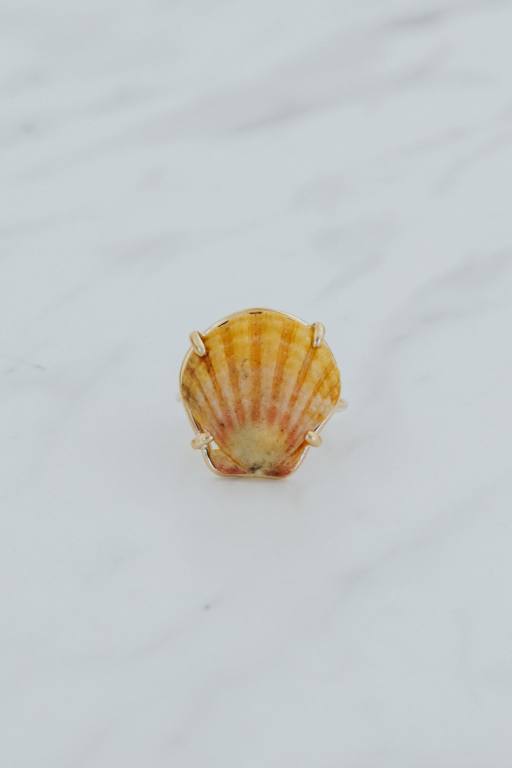 Prong Set Sunrise Shell Ring - GF