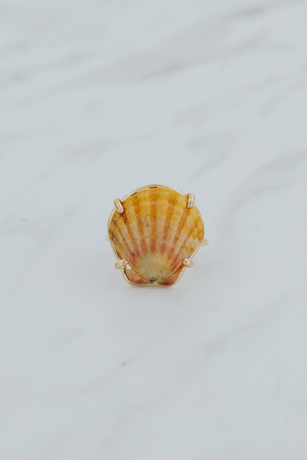 Prong Set Sunrise Shell Ring - GF