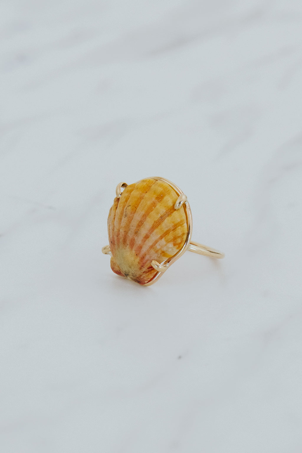 Prong Set Sunrise Shell Ring - GF