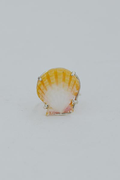 Prong Set Sunrise Shell Ring - SS