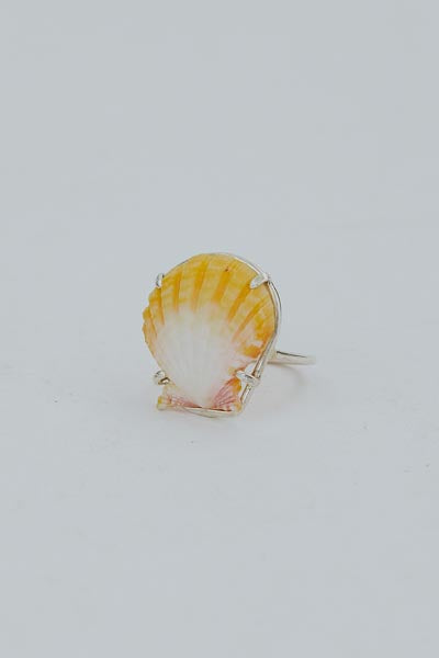 Prong Set Sunrise Shell Ring - SS