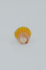Prong Set Sunrise Shell Ring - SS thumbnail