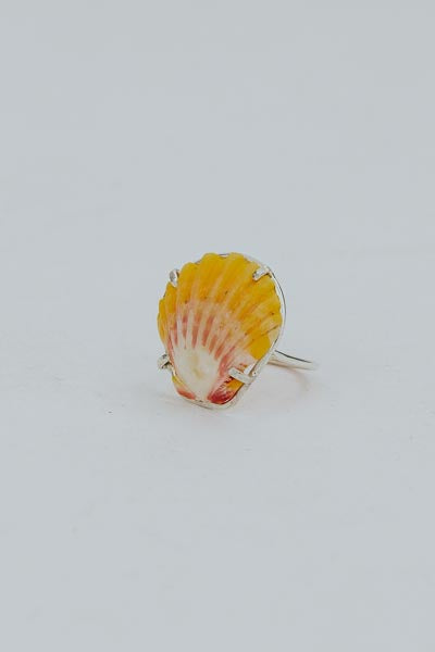 Prong Set Sunrise Shell Ring - SS