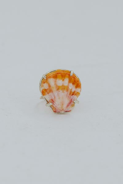 Prong Set Sunrise Shell Ring - SS