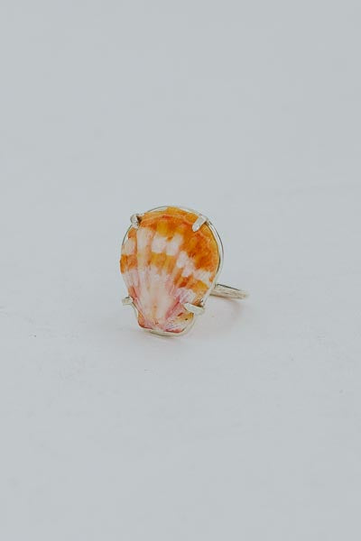 Prong Set Sunrise Shell Ring - SS