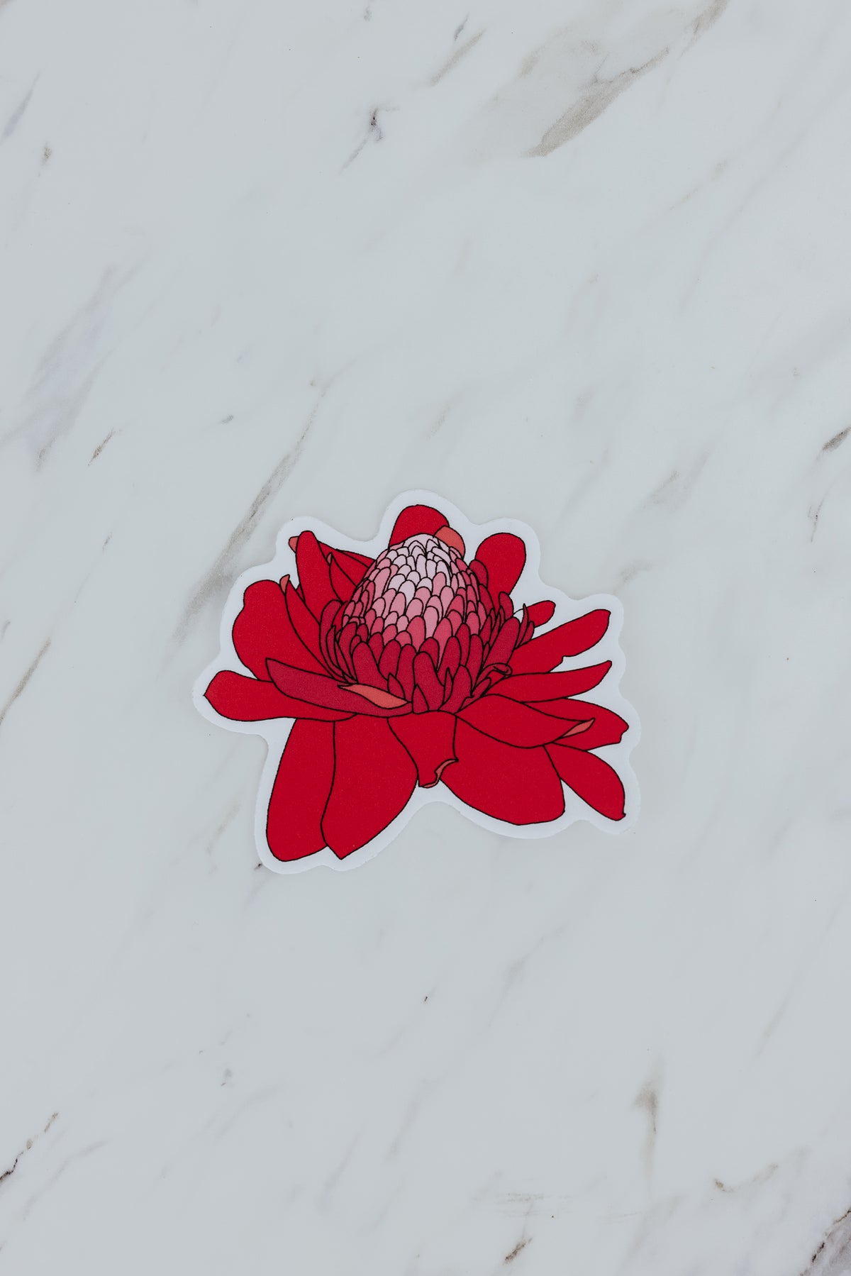 Torch Ginger Flower Sticker