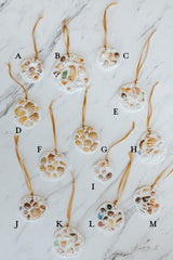 wings hawaii shell ornaments thumbnail