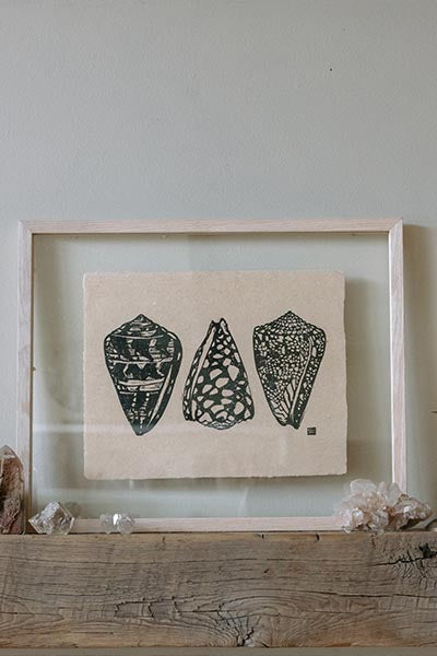 Cone Shell Collection Print