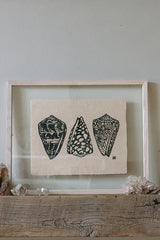 Cone Shell Collection Print thumbnail