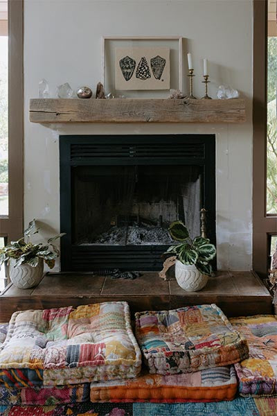 Cone Shell Collection Print