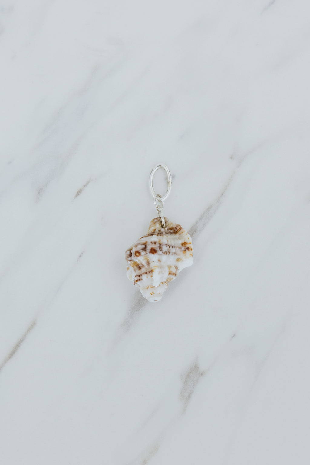 Necklace Charms - White Triton Shells