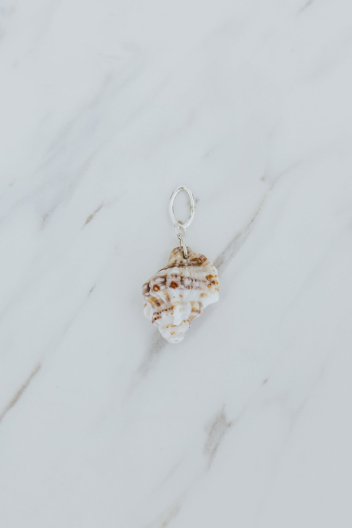 Necklace Charms - White Triton Shells