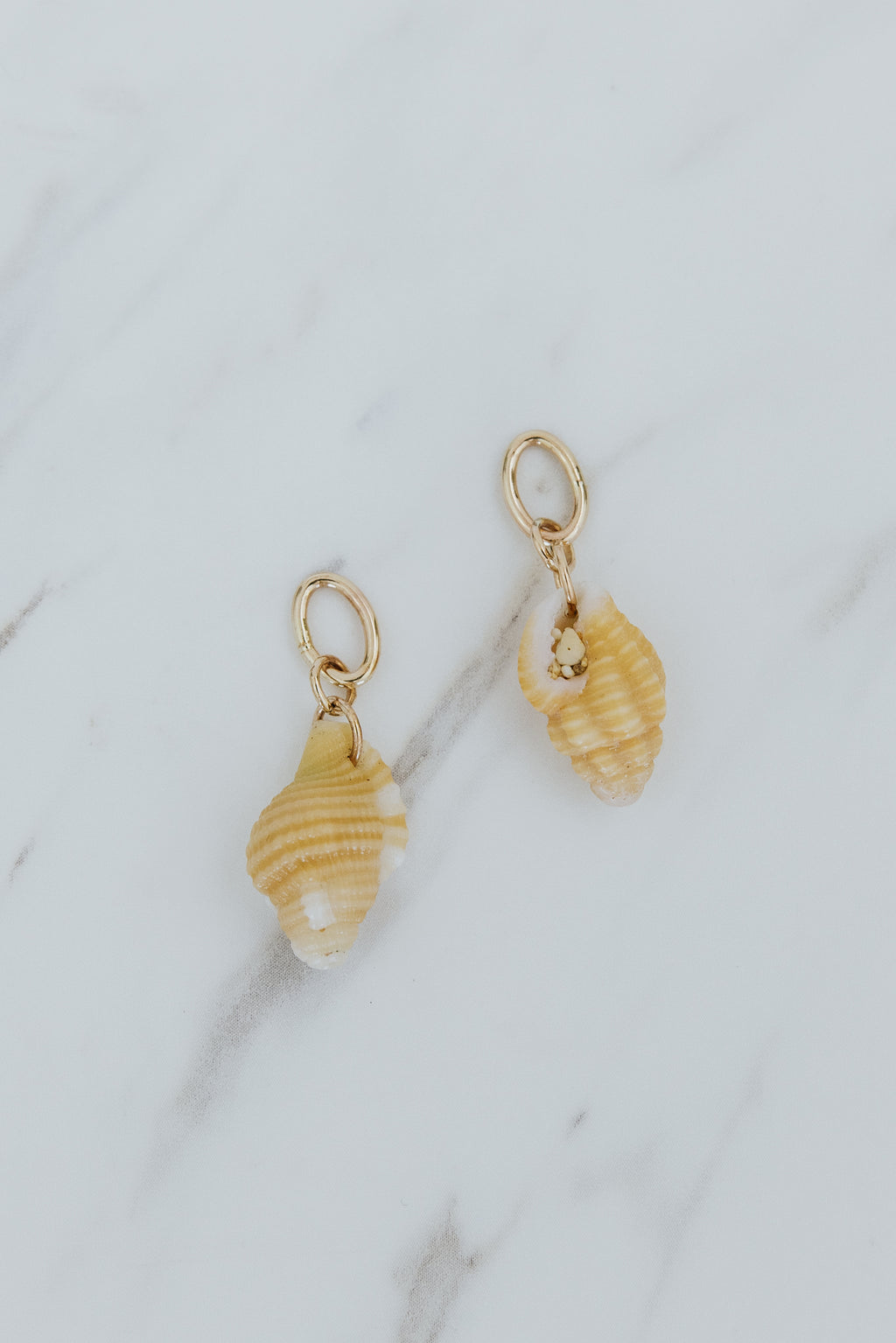 Wings Hawaii small Triton Shell necklace charms in 14k gold-filled. Fine shell jewelry handcrafted in Maui. Modern beachy charm necklaces handmade with authentic Hawaiian sea shells. 