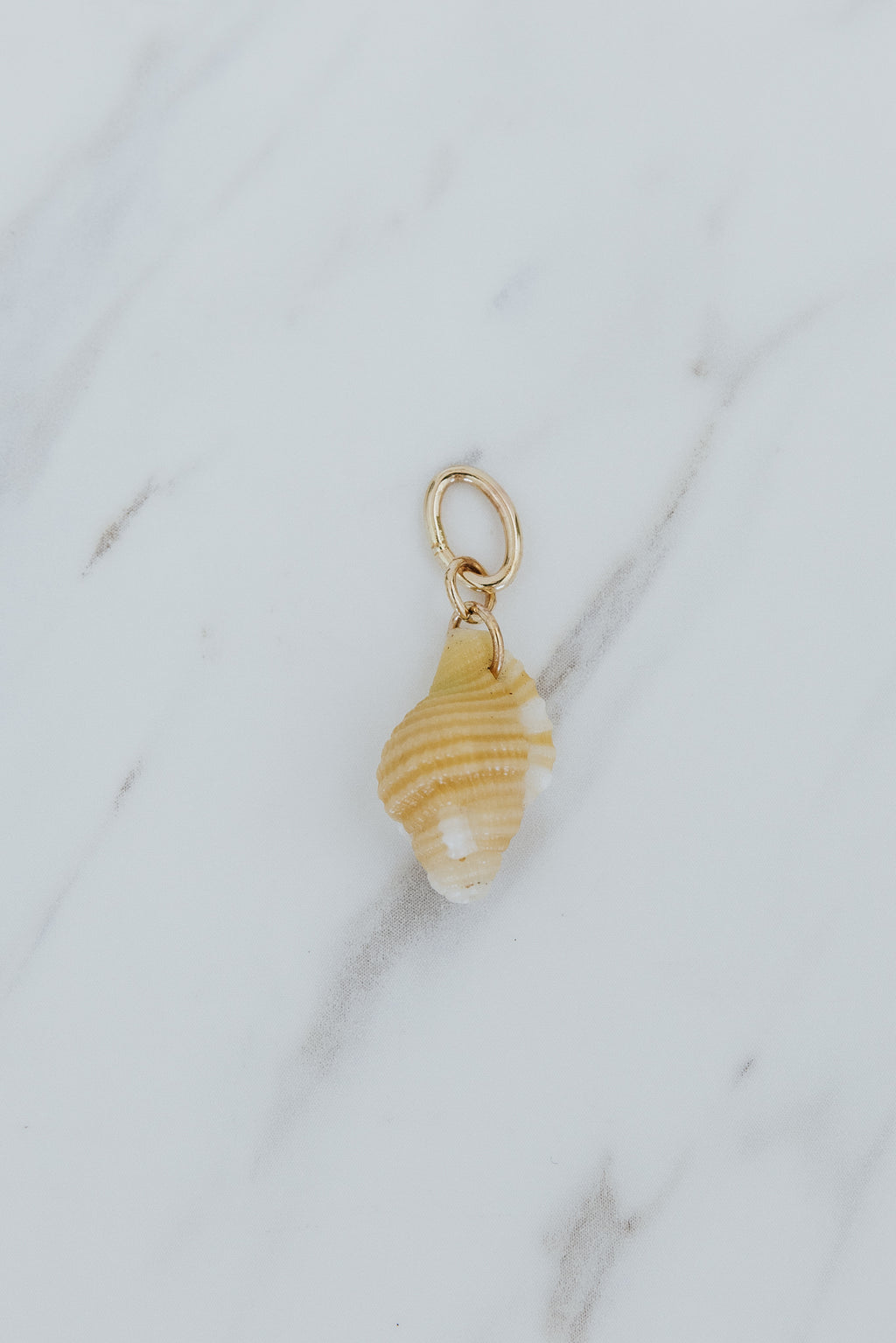 Wings Hawaii small Triton Shell necklace charms in 14k gold-filled. Fine shell jewelry handcrafted in Maui. Modern beachy charm necklaces handmade with authentic Hawaiian sea shells. 